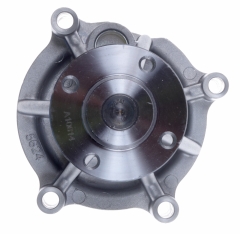 Wasserpumpe - Water Pump  Towncar 4,6L 1998 - 2001